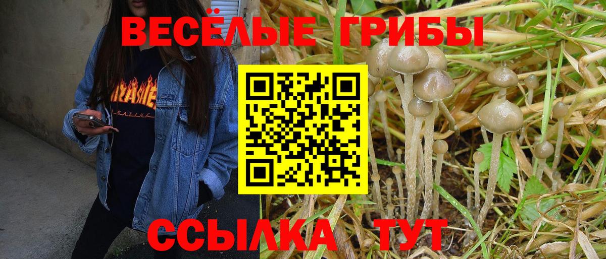 Псилоцибиновые грибы MAGIC MUSHROOMS Муром