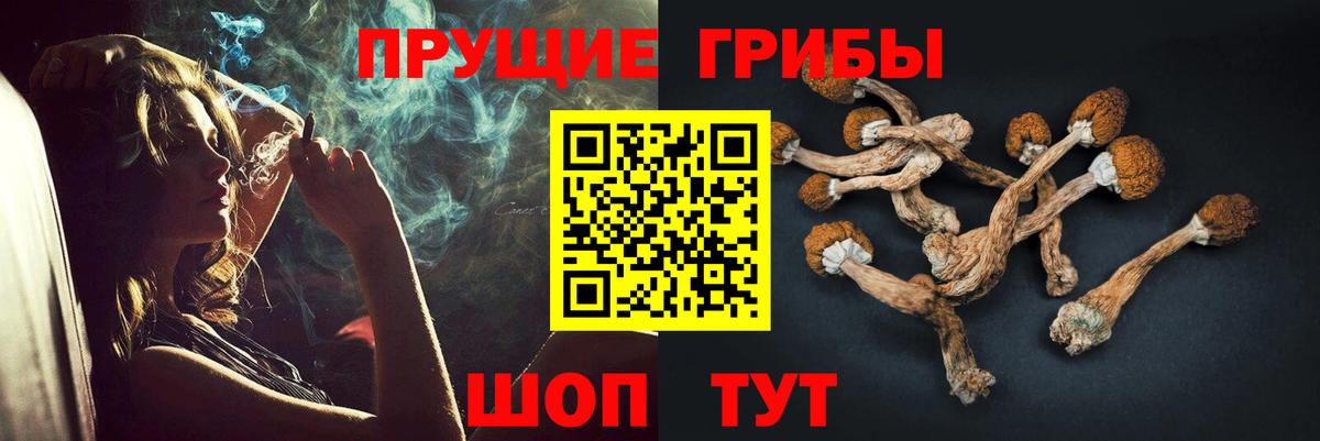 Псилоцибиновые грибы мухоморы  Вход с VPN  Муром 